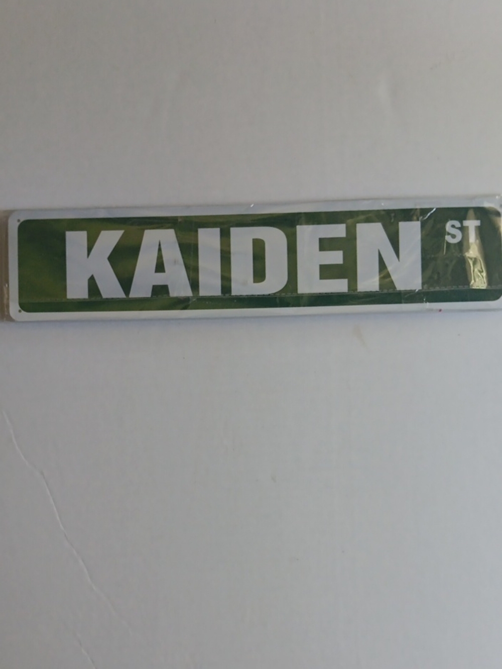 Aiden Green and White Personalized Name Street Sign